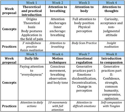 Feasibility of a brief mindfulness-based program for burnout in pain healthcare professionals